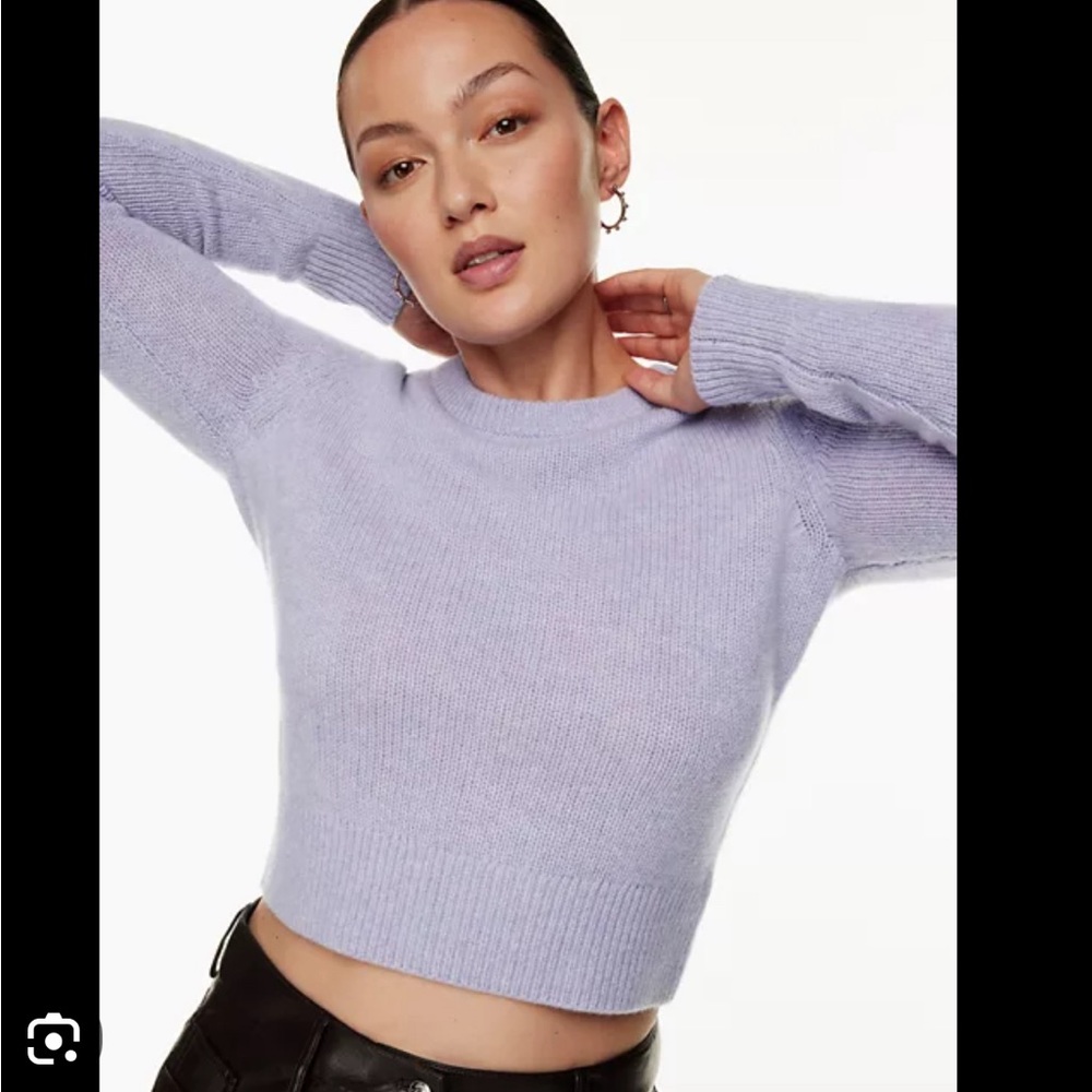 Group Babaton Cropped Cashmere Sweater